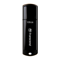 USB 128GB Transcend JF700